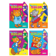 LIBRO PINTO COLOR