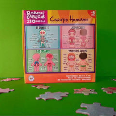 PUZZLE EL CUERPO HUMANO en internet