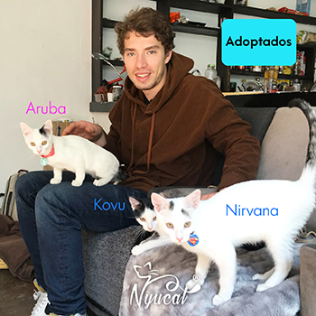 Aruba, Kovu y Nirvana adoptados