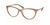 Ralph Lauren - 7131 5750 55 - Óculos de Grau