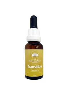 Transition Essence