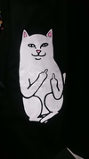 F∗Ck You Cat