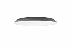 Moon 45w