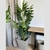 (TL) Planta Monstera artificial. / alto 180