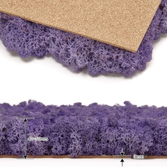 Purple - 1st Moss - comprar online