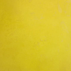 Imagem do Concret Yellow - Orchid