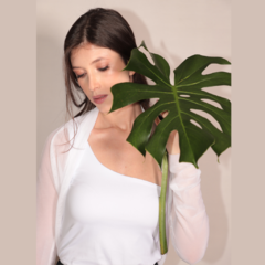 Blusa tule bolero manga longa BRANCO na internet
