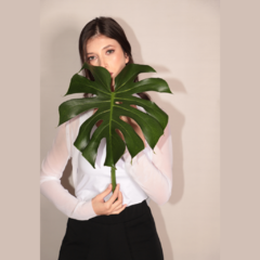 Blusa tule bolero manga longa BRANCO - loja online