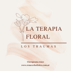 Los traumas en terapia floral