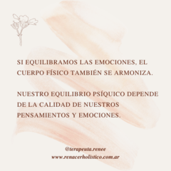 La terapia floral y las emociones en internet