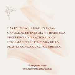 La terapia floral y las emociones - Renacer Holístico