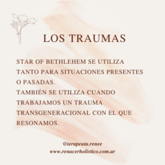 Los traumas en terapia floral - Renacer Holístico