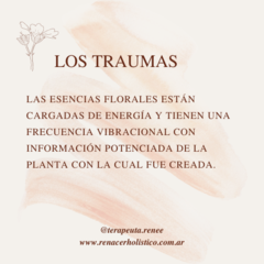 Imagen de Los traumas en terapia floral