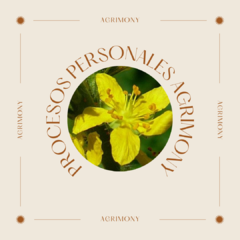 Agrimony, para procesos internos - comprar online