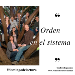 El orden en los sistemas