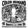Remera Niño Manga Corta COLOR HUMANO 01
