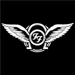 Remera Unisex Manga Corta FOO FIGHTERS 09