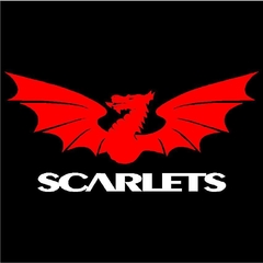 Remera Mujer Manga Corta SCARLET RUGBY 01