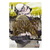 Manga Golden Kamuy Tomo 4 de Satoru Noda editado por Panini