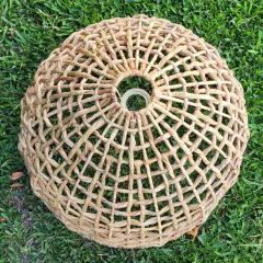 Pantalla Water Hyacinth en internet