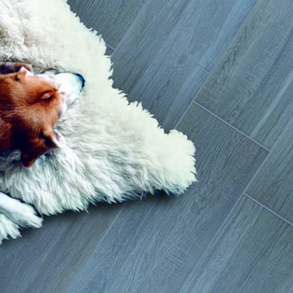 Coffret JJF Tapisserie jouet ancien emballage Au chien Fidèle