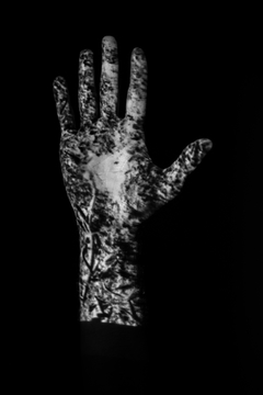 Orbita9