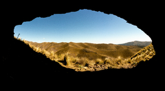 orbita11