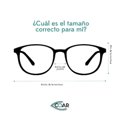 CATTO - PARSON en internet