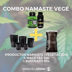 COMBO NAMASTE VEGE