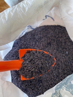 Semillas de ALBAHACA - comprar online
