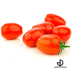 Semillas TOMATE