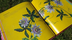 Nativas, flores argentinas - tienda online