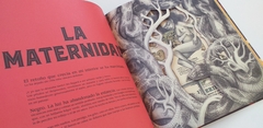 Frida - comprar online