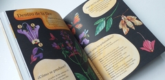 Manos a la tierra . Crea tu propio jardín - comprar online