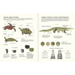 Agua y tierra - Anfibios y reptiles de América - tienda online