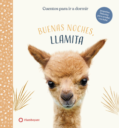 Buenas noches , Llamita