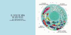 Infinito : los ciclos mágicos del universo - Librería online El gato Neftalí