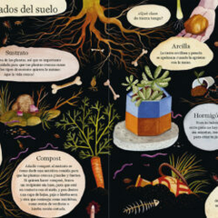 Manos a la tierra . Crea tu propio jardín - Librería online El gato Neftalí