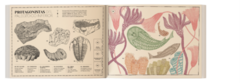 Paisajes perdidos de la Tierra - Librería online El gato Neftalí