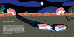 Ronda nocturna - comprar online