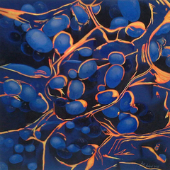 A:100 arte- Vivi Nikow