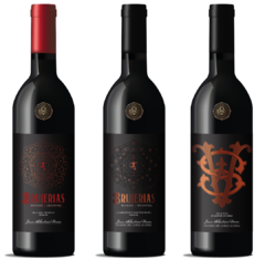 CABERNET SAUVIGNON PREMIUM - A:100 arte y diseño