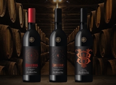 CABERNET SAUVIGNON PREMIUM - comprar online