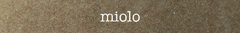 Banner da categoria miolo
