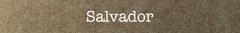 Banner da categoria Salvador