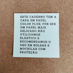 Caderno Baianas na internet