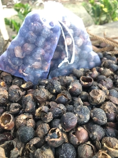SABONETE NATURAL, SAPONARIA NOZES/FRUTOS SÊCOS 100G - comprar online