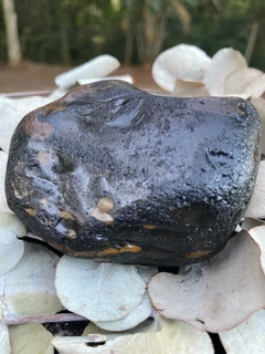 FLINTSTONE-PEDRA FLINT, SILEX MARROM NEGRO MINERAL CRISTAL BRUTO (370g) - Águas de São Pedro