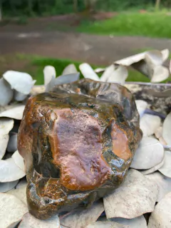 FLINTSTONE-PEDRA FLINT, SILEX MARROM NEGRO MINERAL CRISTAL BRUTO (427g)