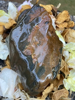 FLINTSTONE-PEDRA FLINT, SILEX MARROM NEGRO MINERAL CRISTAL BRUTO (703g)